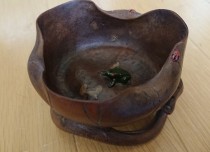 竹根 水盂