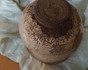 4991B7A2-7647-416D-96E8-993FD66E4FFA